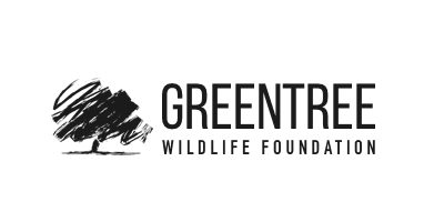 logo3